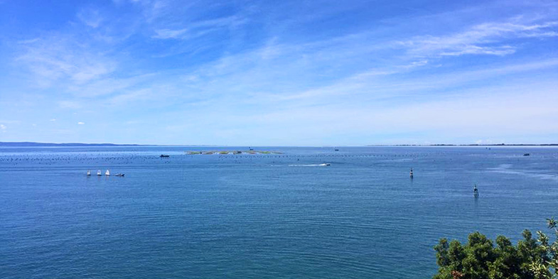 mare di Duino