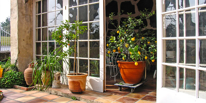 Giardino d'inverno
